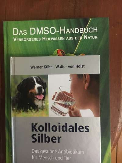 Paw Infektion-Beitrag-Bild