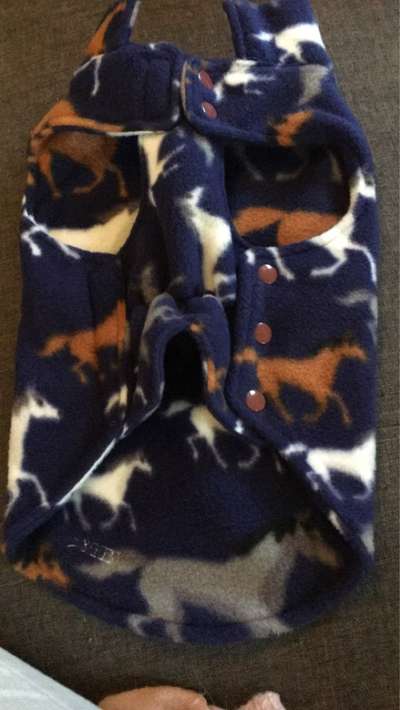 Nähen für Hunde-Beitrag-Bild