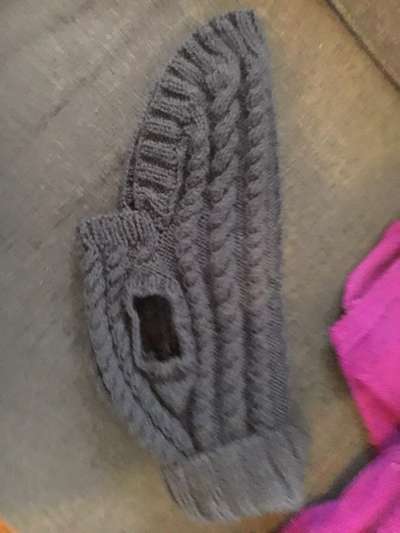 Nähen für Hunde-Beitrag-Bild