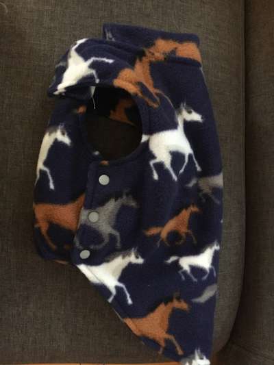 Nähen für Hunde-Beitrag-Bild