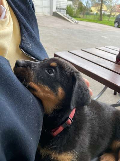 Handy-Foto Challange Nr. 10-Beitrag-Bild