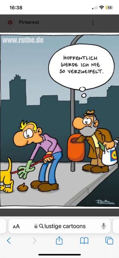 Hunde Memes-Beitrag-Bild