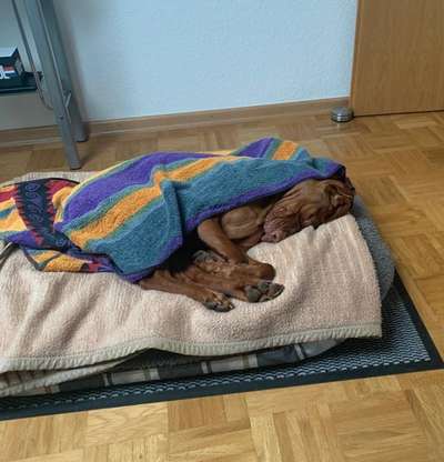 32. Farben Challenge  ** ( BUNTE ) STREIFEN **-Beitrag-Bild