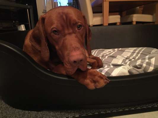 Fotochallange Nr. 57     PORTRÄT.   Beendet!!!!!!!!-Beitrag-Bild