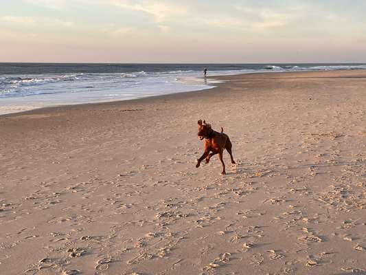 Fotochallenge Nr.105  Glücksmomente-Beitrag-Bild