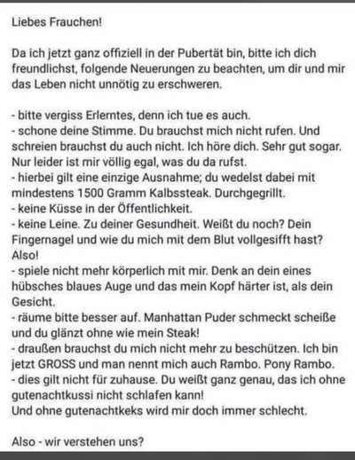 Hunde Memes-Beitrag-Bild