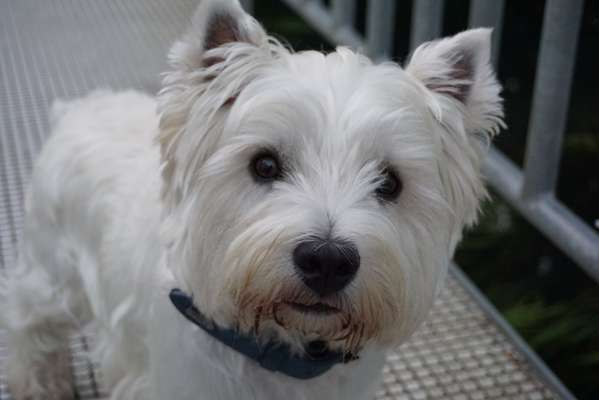 Fotochallange Nr. 57     PORTRÄT.   Beendet!!!!!!!!-Beitrag-Bild