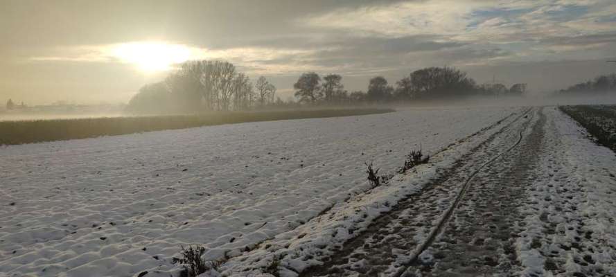 Hundeauslaufgebiet-Manchinger "Acker"-Bild