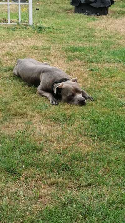 Farben Fotochallenge Thema ,,Grün"-Beitrag-Bild