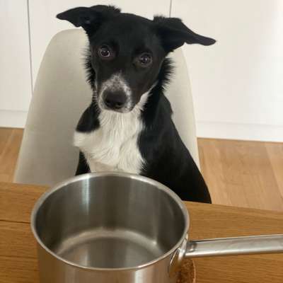 147. Foto Challenge: Bettelblick-Beitrag-Bild