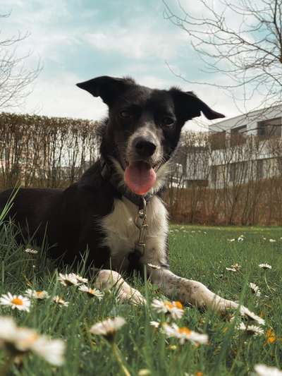 Fotochallenge Nr. 126-Beitrag-Bild