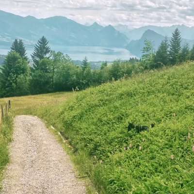 143. Fotochallenge: Ja, wo isser denn?-Beitrag-Bild