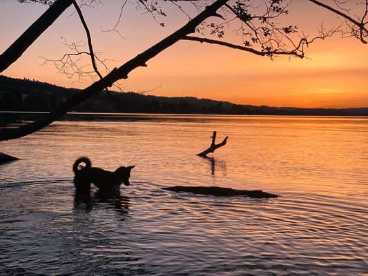 18. Farben Fotochallenge: Sonnenuntergang-Beitrag-Bild