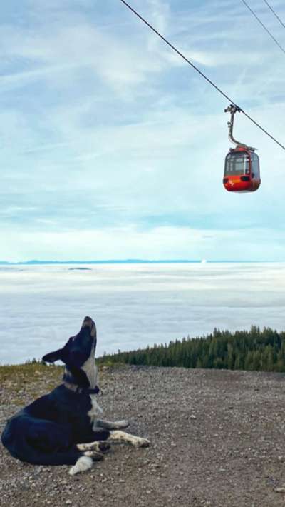 10. Farben Foto-Challenge ---- Blau-Beitrag-Bild