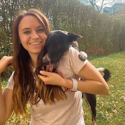 Dogorama Photo Challenge - Liebesbeweis-Beitrag-Bild