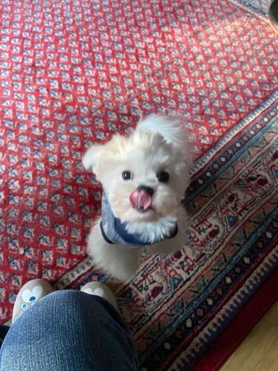 Handyfoto challenge Nr. 13: Waschlappen raus!-Beitrag-Bild