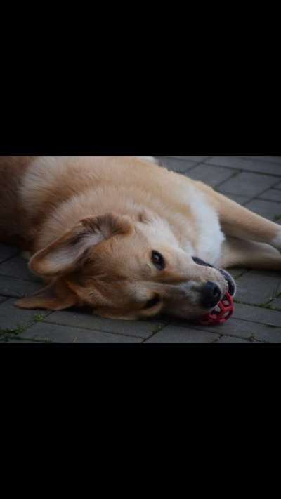 Foto Challenge die Vierte-Beitrag-Bild