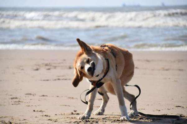 Foto Challenge - BEENDET - bitte aktuelle Challenge nutzen-Beitrag-Bild