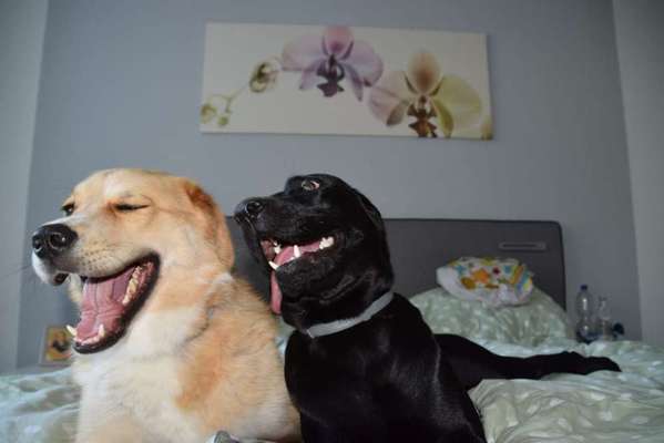 Fotochallenge No. 5-Beitrag-Bild