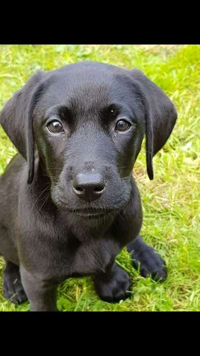 Foto Challenge 3-Beitrag-Bild