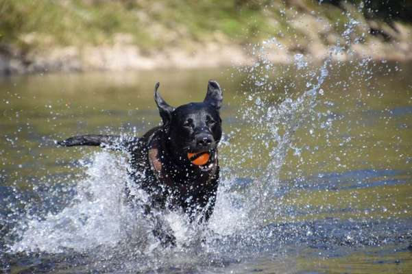 Foto Challenge - BEENDET - bitte aktuelle Challenge nutzen-Beitrag-Bild