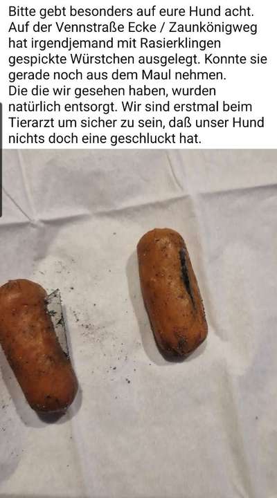 Giftköder-Wurst mit Rasierklingen-Bild