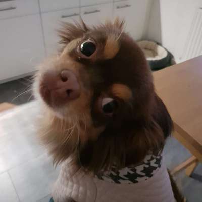 Fotochallange Nr. 57     PORTRÄT.   Beendet!!!!!!!!-Beitrag-Bild