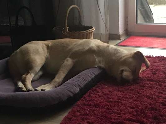 Die unbequemsten und lustigsten Schlafpositionen-Beitrag-Bild