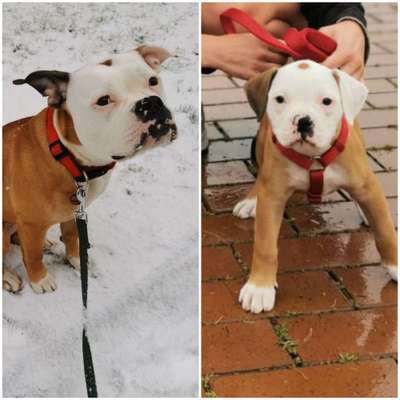 Vorher.... Nachher-Beitrag-Bild