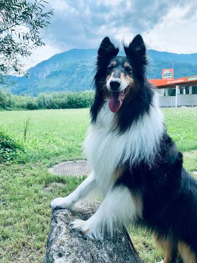 Zeigt eure Portraits-Beitrag-Bild