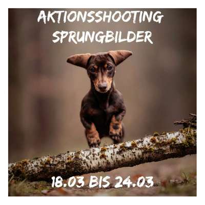 %{de_profession_title}-Aktonsshooting: Sprungbilder-Bild