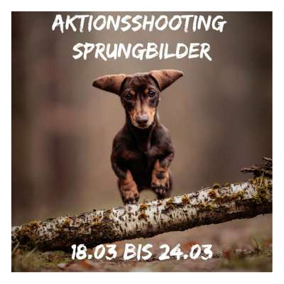 Giftköder-Aktonsshooting: Sprungbilder-Bild