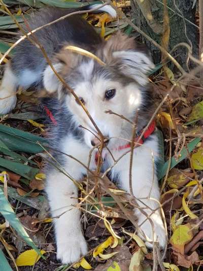 Das erste Foto-Beitrag-Bild