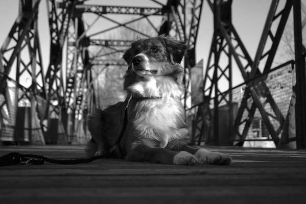 Foto-Challenge 76: Foto in Schwarz-Weiss-Beitrag-Bild