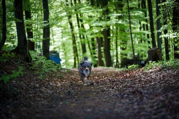 Foto Challenge Nr. 79-Beitrag-Bild