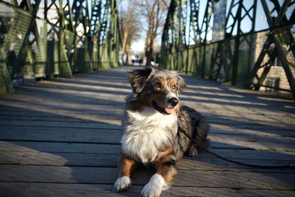 Fotochallenge Nr. 67: Euer Lieblingsbild-Beitrag-Bild