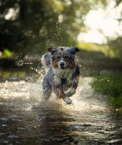 Fotochallenge Nr.105  Glücksmomente-Beitrag-Bild