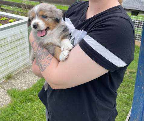 Foto Challenge 82-Beitrag-Bild