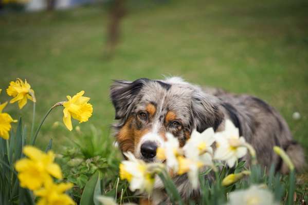 Fotochallenge 78

Es grünt und blüht-Beitrag-Bild