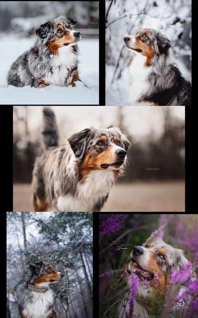 23. Collagen-Challenge: Portraits-Beitrag-Bild