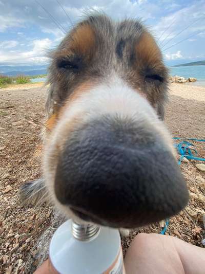 Fotochallange 84-Beitrag-Bild