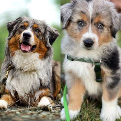 Sie werden so schnell groß!-Beitrag-Bild