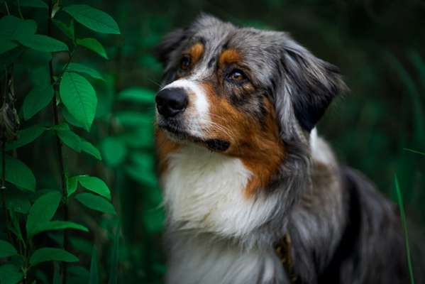 Fotowettbewerb Natur-Beitrag-Bild