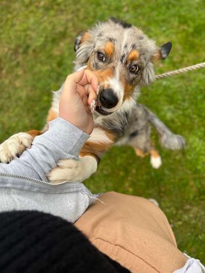 Fotochallenge Nr. 64-Beitrag-Bild