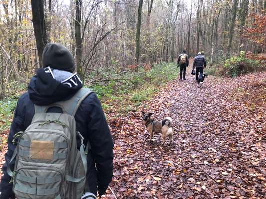 Ton in Ton-Beitrag-Bild