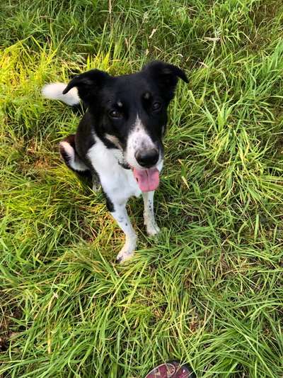 Handy-Foto Challange Nr. 10-Beitrag-Bild