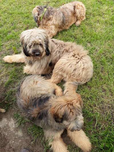 Fotochallenge No. 26                                     Wald und Wiese-Beitrag-Bild