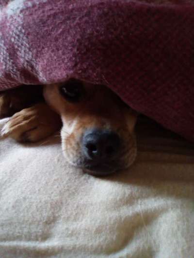 Lieblingsbild-Beitrag-Bild