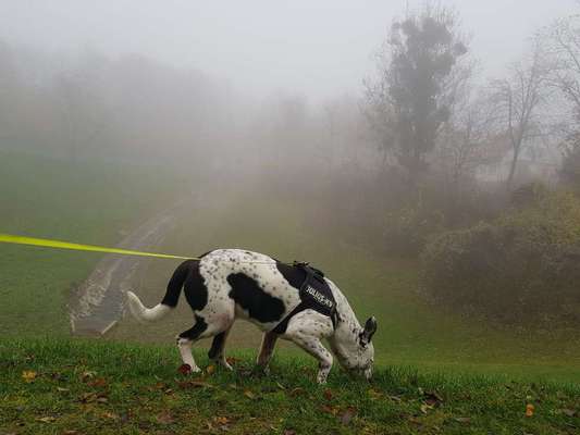 Vorher.... Nachher-Beitrag-Bild