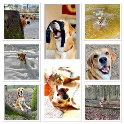 22. Collagen Challenge- Lebensfreude-Beitrag-Bild